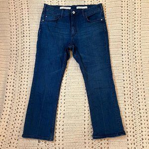 Pilcro and the Letter Press for Anthropologie High-Rise Bootcut Jeans Size 32